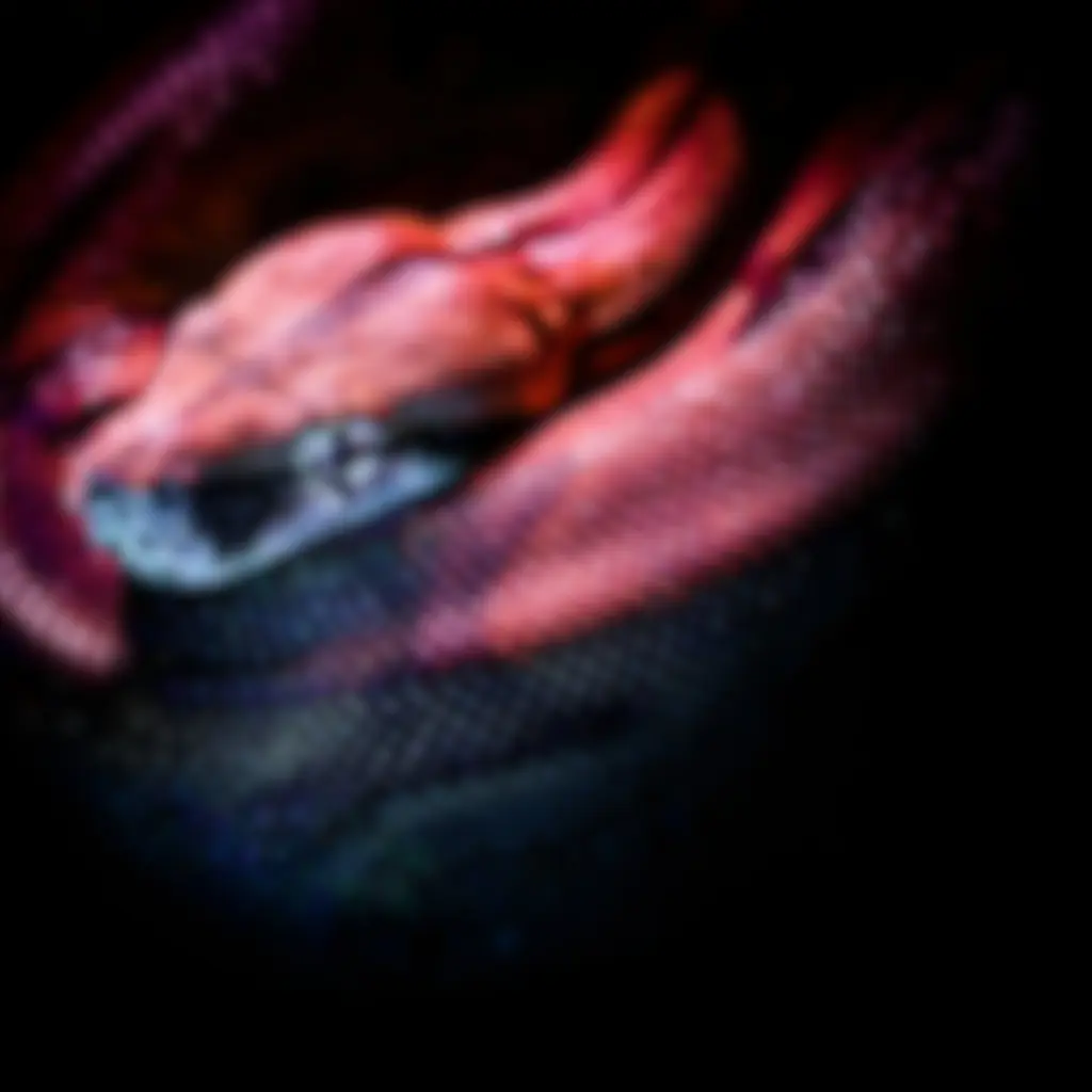 Sample 4