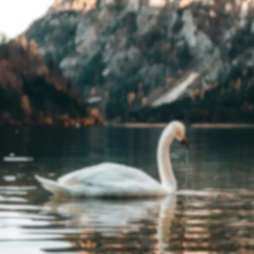 Original image before AI enhancement